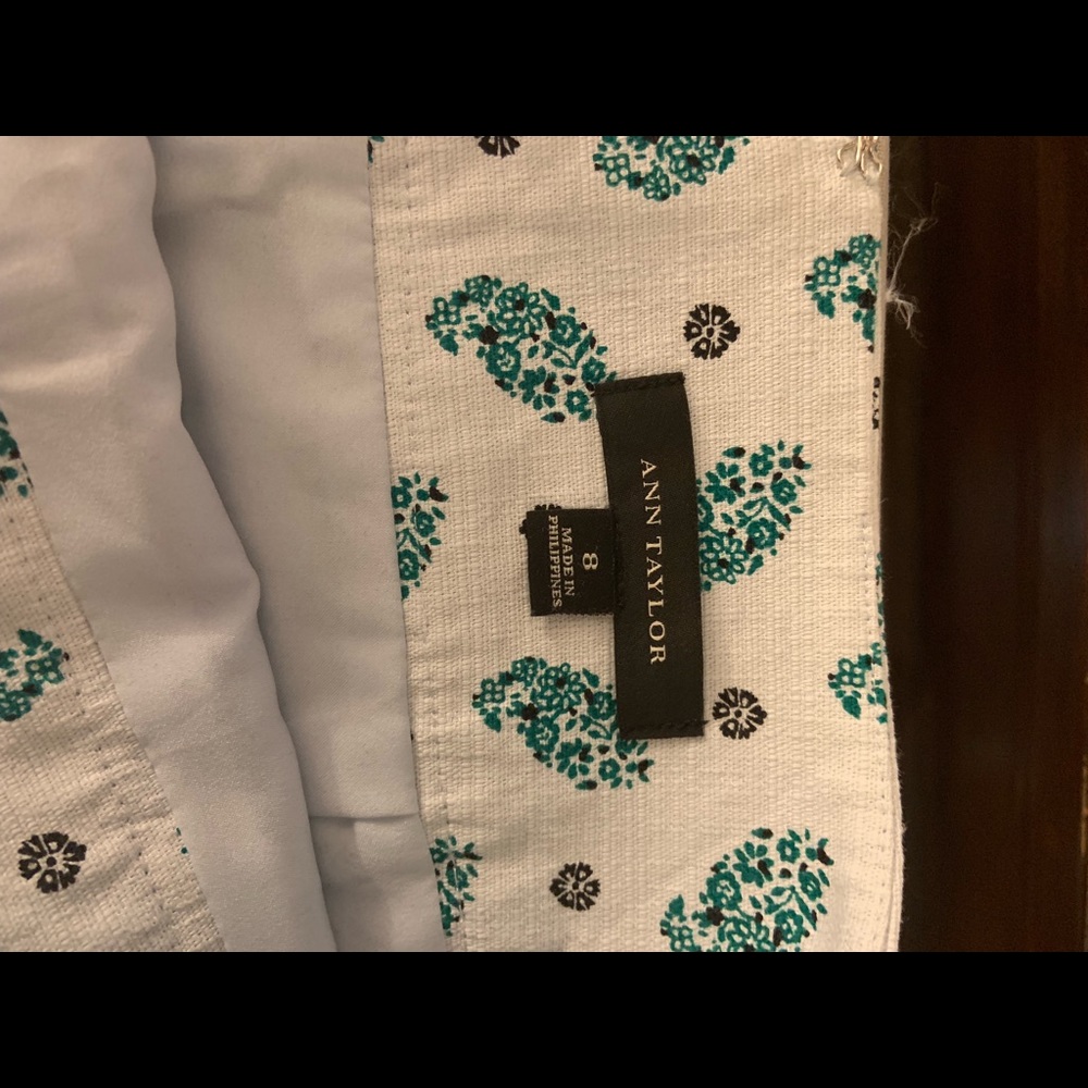 Ann Taylor skirt